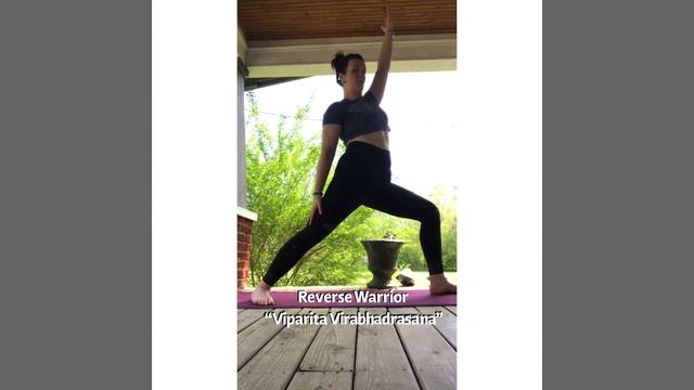 Let’s Learn Yoga! смотреть онлайн