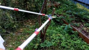 Сучкорез Mr.Logo (Мистер Лого) в деле