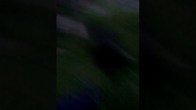 Я катаюсь на гиро скутере смотреть онлайн