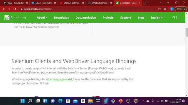 Selenium Download And Configure смотреть онлайн
