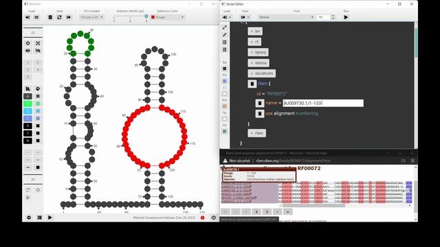Visualize RNA structural evolutions with RNArtist смотреть онлайн