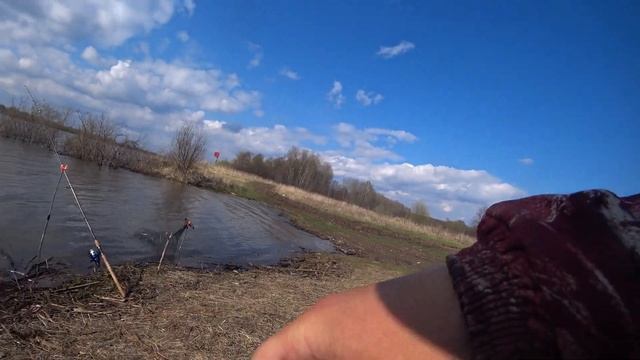 РЫБАЛКА НА ФИДЕР ВЕСНОЙ! Мой 4-х летний сын обловил меня! Рыбалка на Оке! смотреть онлайн