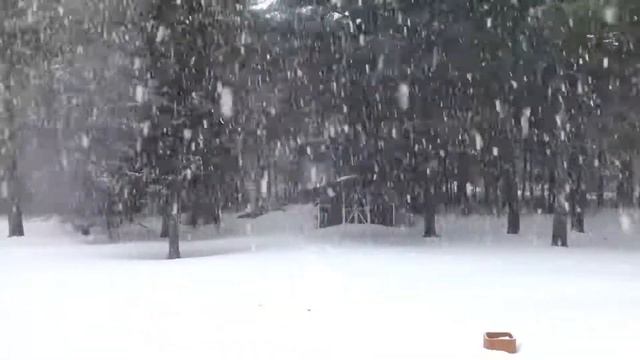Зимний день смотреть онлайн