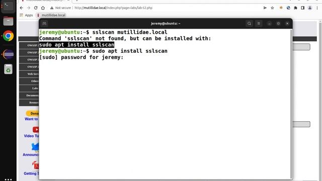 Mutillidae: Lab 52 Walkthrough смотреть онлайн