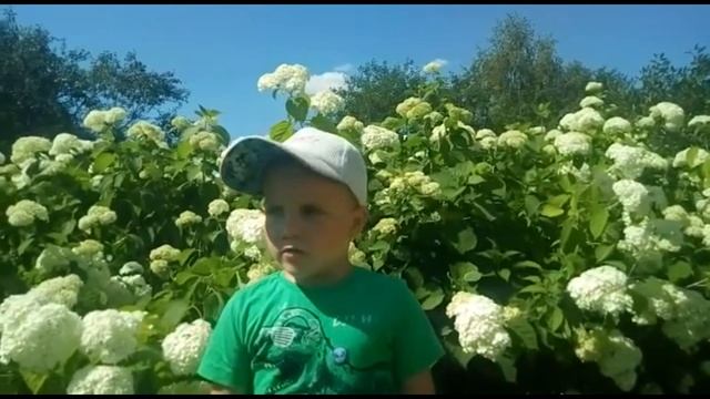 Игры с песком и водой смотреть онлайн