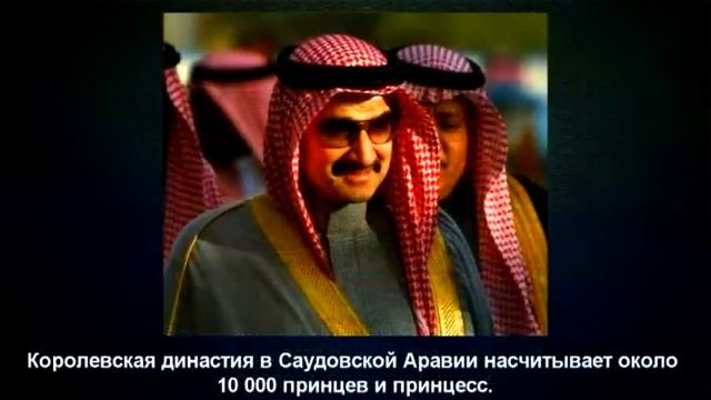 Оторвись от танчиков) #6 Дикобраз и летчики. смотреть онлайн