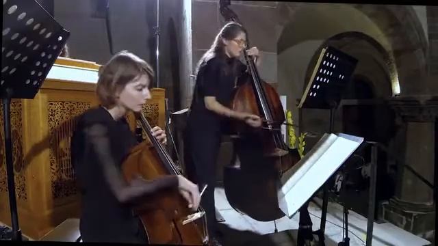 Моцарт - концерт для флейты в Д мажор смотреть онлайн