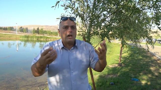 У мужика живот вырос. Анекдот смешной! смотреть онлайн