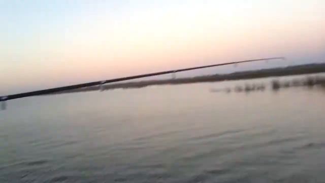 Астраханская рыбалка.mp4 смотреть онлайн