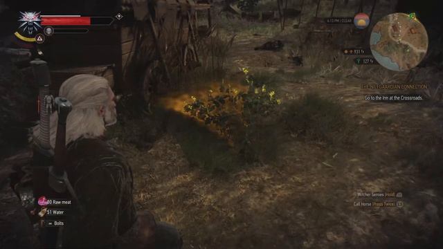 The Witcher 3: Wild Hunt - Complete Edition_20231105171137 смотреть онлайн