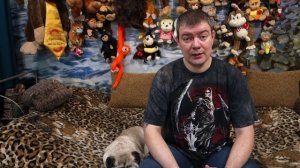 Сколько рыбок можно запустить в аквариум? Часть 2 - Аквариумы от 50 до 100 литров.