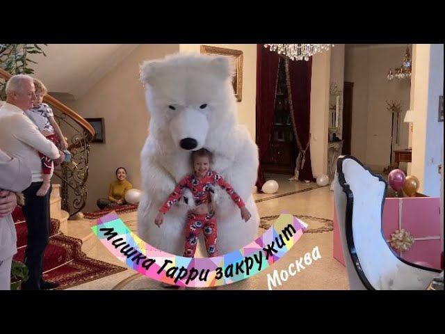 Заказали аниматора на дом Мишка гарри поздравил девочку Москва #аниматор #надому #мишка смотреть онлайн