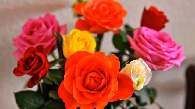 Слушать лучшую русскую песню и фото - класс! смотреть онлайн