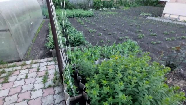 Оладушки да булочки на простокваше смотреть онлайн