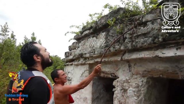 Tulum Tours : Muyil ruins and floating canals at Sian Kaan смотреть онлайн
