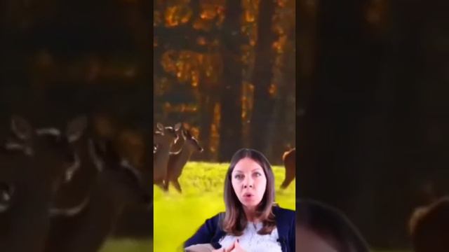 РСП. МНЕНИЕ ЖЕНЩИНЫ смотреть онлайн