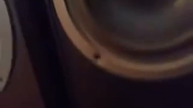 MAGNAT speakers - 144 108 - Bass Reflex смотреть онлайн