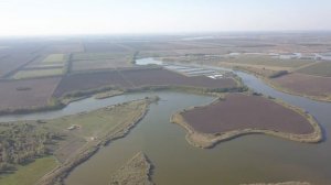 Тимашевск  Приречный