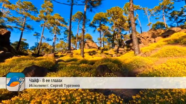 Чайф - В ее глазах (Сергей Тургенев) смотреть онлайн