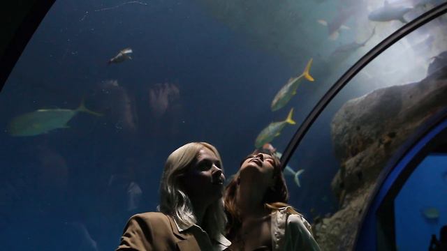 ELLA feat. MIRÈLE – НЕ ЦЕЛУЙ | ТИЗЕР смотреть онлайн