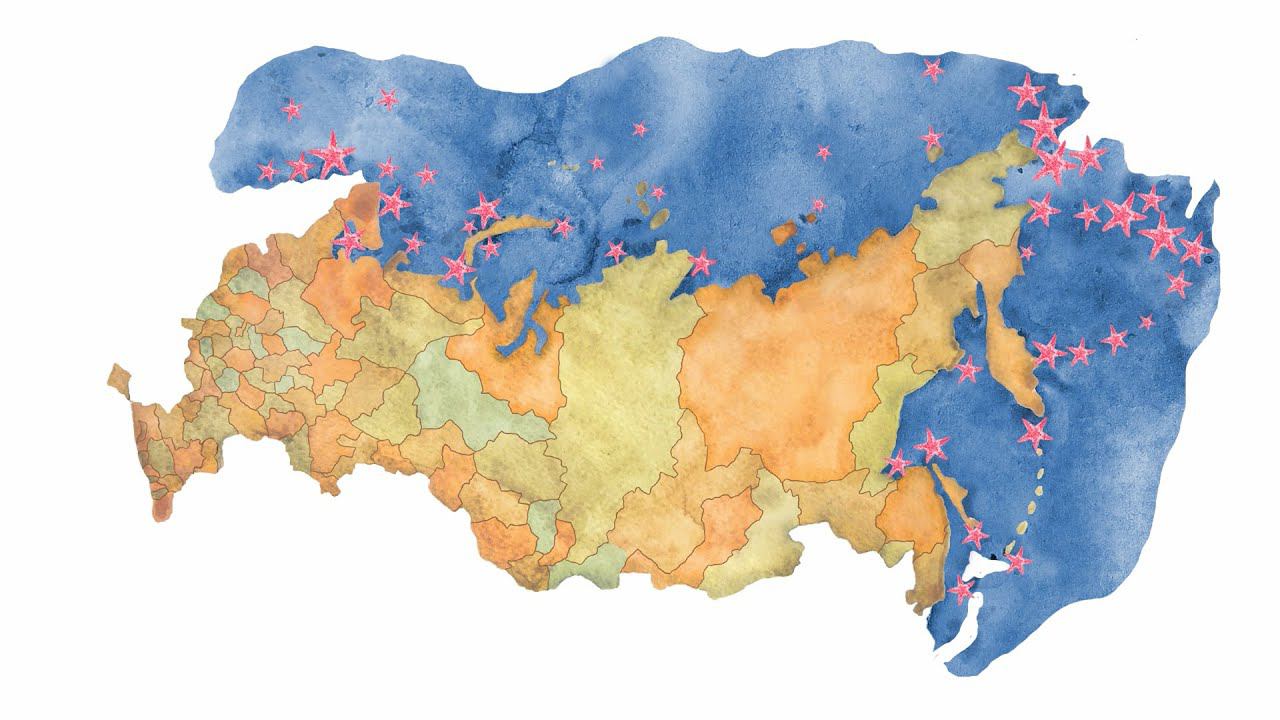 11.1. Иглокожие: морские звёзды и ежи смотреть онлайн
