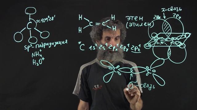 Цитология. Лекция 47. sp2 гибридизация смотреть онлайн
