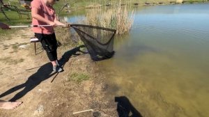 Скифская деревня Крым рыбалка. Рыбалка 2023. Вилино