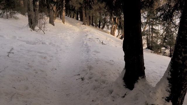 Сиверский, не дачный сезон... в парке тихо и спокойно:-) смотреть онлайн