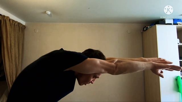 БРАСС. КАК НАУЧИТЬСЯ ПЛАВАТЬ БРАССОМ. УРОК №2 РАБОТА РУК. ТЕОРИЯ ЧАСТЬ 1.