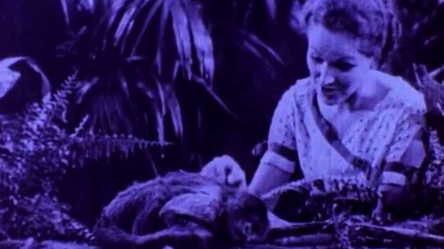 Rose Hobart, pt. 2 of 2 смотреть онлайн