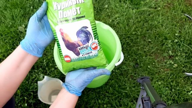 Первая подкормка перца после высадки в теплицу смотреть онлайн