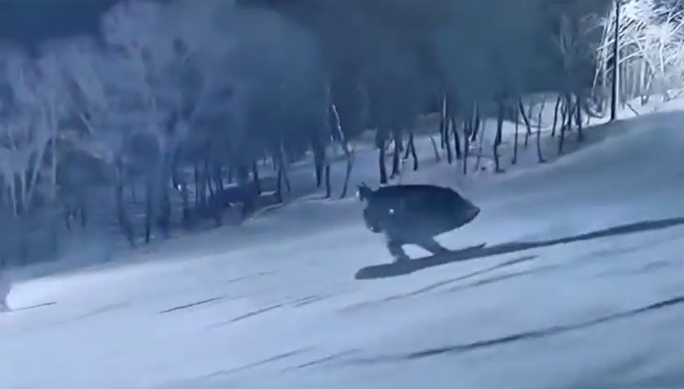 Джокер против Бэтмена смотреть онлайн