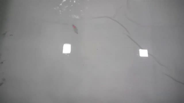 Зимняя блесна "Беркут" смотреть онлайн