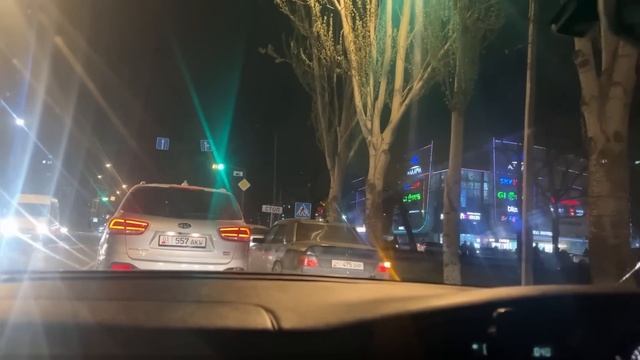 Красивый белый лебедь ? прогулка по Гавайи смотреть онлайн