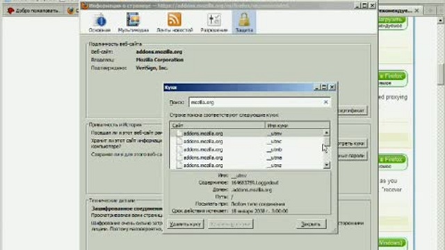 Mozilla Firefox - видеокурс