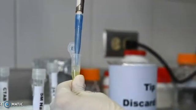 Plant DNA extraction - CTAB Method смотреть онлайн