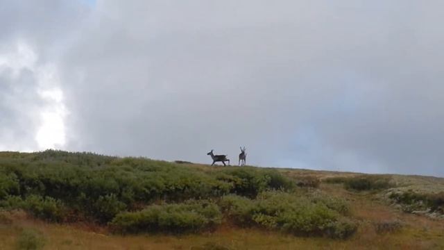 Окинский район смотреть онлайн