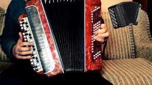 NILETTO - НевывоЗИМАя Кавер на баяне