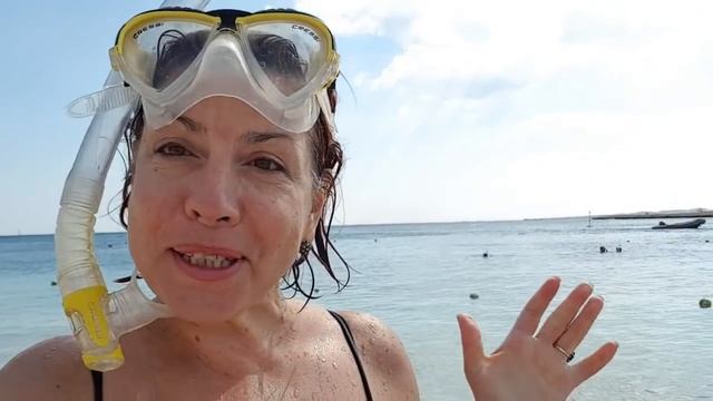 Отель Sunrise Marina Resort Port Ghalib в Марса Алам  Полный видеообзор и отзыв