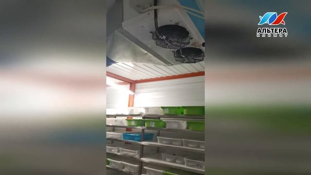 Текстильные воздуховоды в комплексе по производству сыра смотреть онлайн