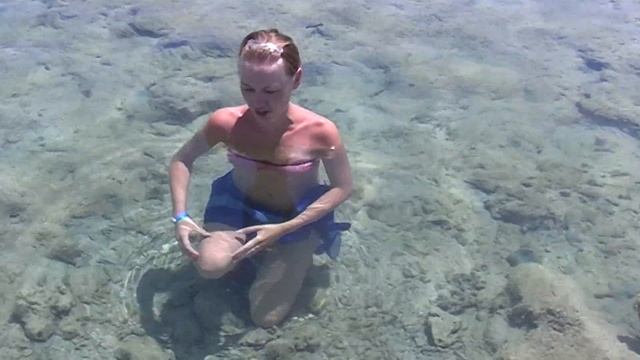 Отдых в Египте, Шарм-Эль-Шейх #7. Море, пляж. СХОДИМ С УМА! смотреть онлайн