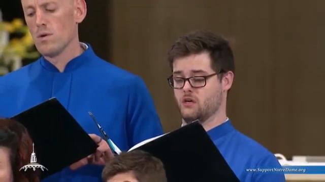 Dum transisstet sabbatum by john taverner Choir Of the Basillica смотреть онлайн