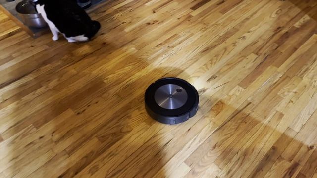 Roomba j7 First Impressions Part 1 - Navigation & Mapping смотреть онлайн