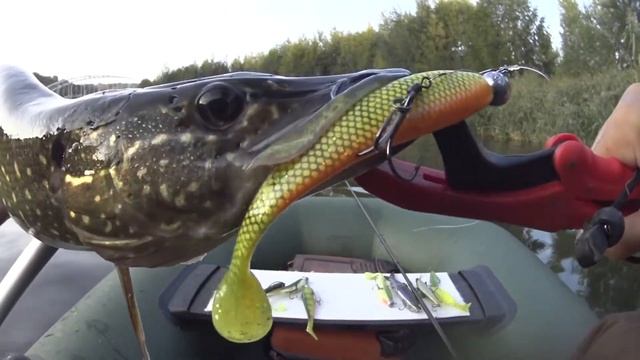 ЛОВЛЯ ЩУКИ В СЕНТЯБРЕ | ЩУКИ АТАКУЮТ | КРУПНЫЙ СИЛИКОН смотреть онлайн