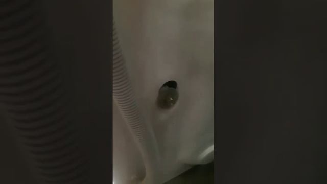 Где находятся транспортировочные болты и что будет если их не убрать? смотреть онлайн