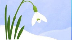 Видеофон. Футаж весенний. Красивый футаж для видео. Фоновый футаж. Подснежник.