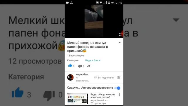 Делаю обзор на видео канала чернобелый кот смотреть онлайн
