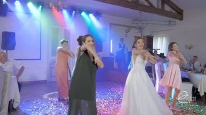 Сюрприз для жениха на свадьбе от невесты! Танец-флеш-моб с подружками и даже мамами!