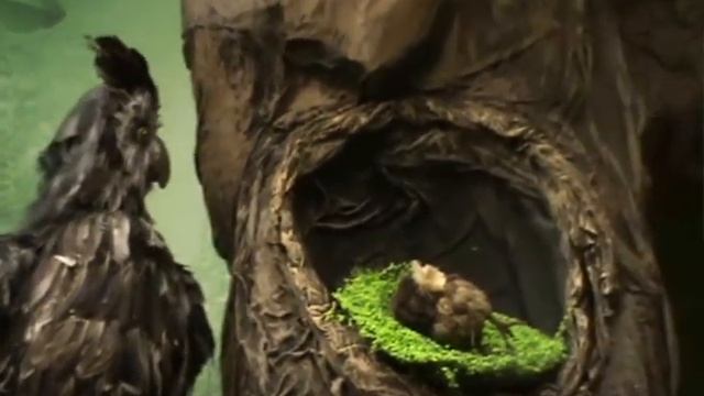 Леший в "Поляне Сказок"(Мастерские) смотреть онлайн