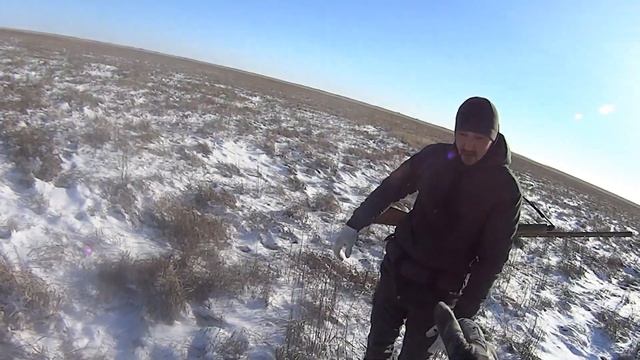 охота на зайца #степные зайцы смотреть онлайн